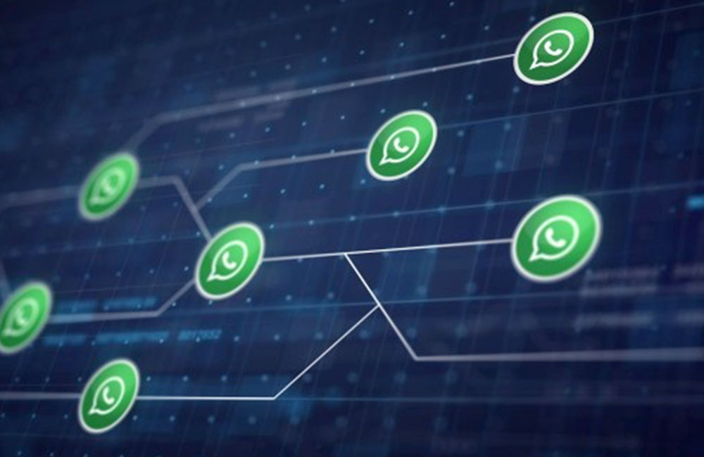 networking with whatsapp